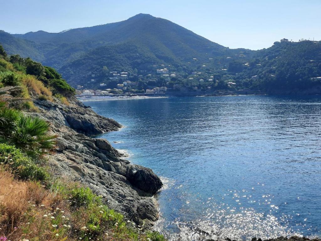 Appartamento Il Vicoletto ลาสเปเซีย ภายนอก รูปภาพ